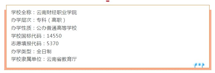 高职专科